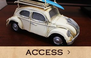 ACCESS